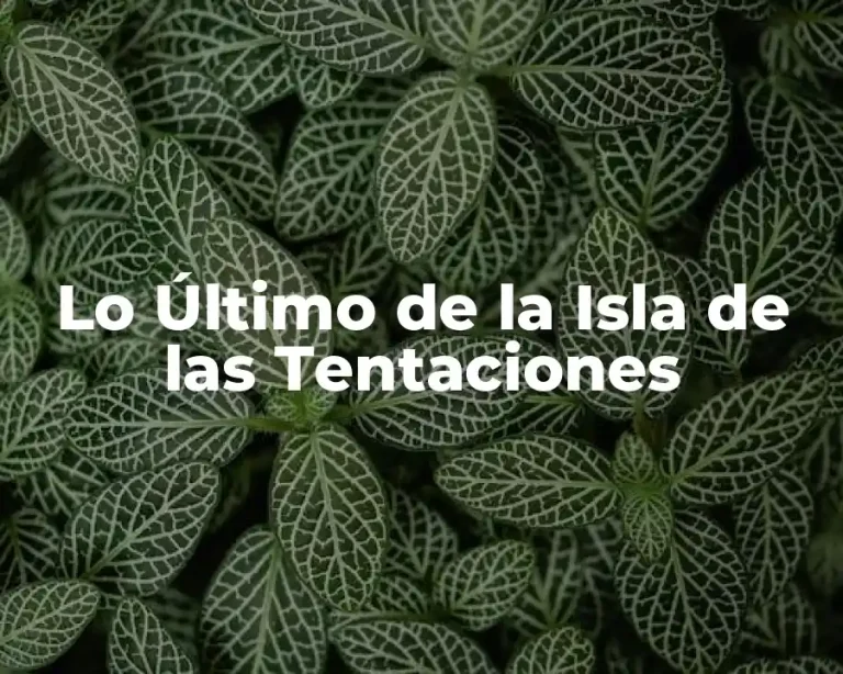 Lo Último de la Isla de las Tentaciones