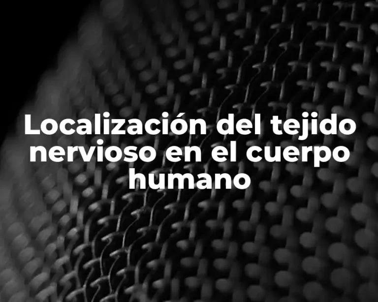 Localización del tejido nervioso en el cuerpo humano