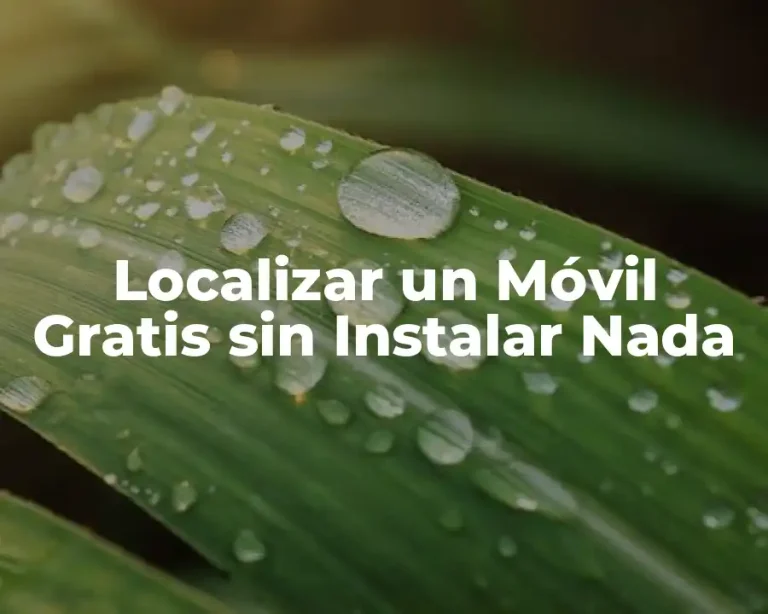 Localizar un Móvil Gratis sin Instalar Nada