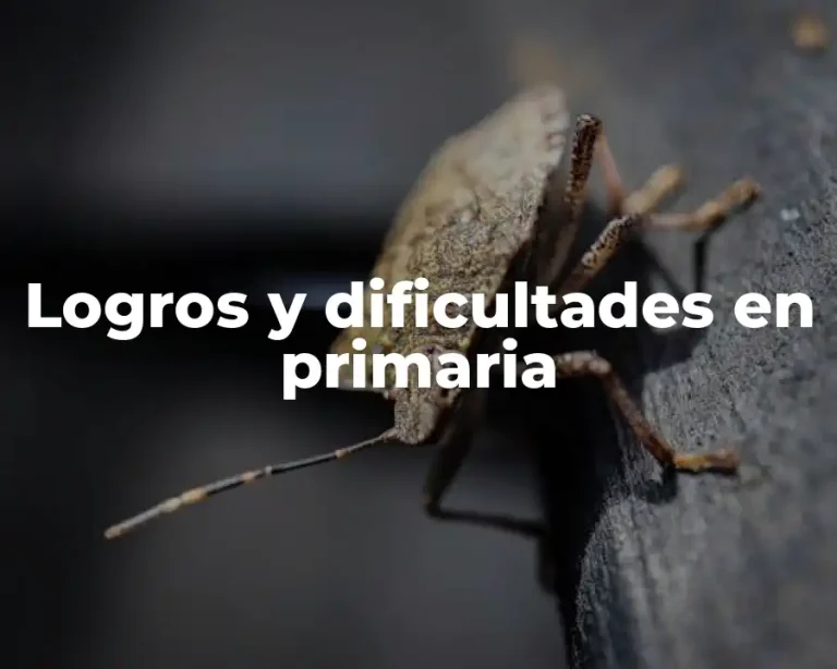 Logros y dificultades en primaria