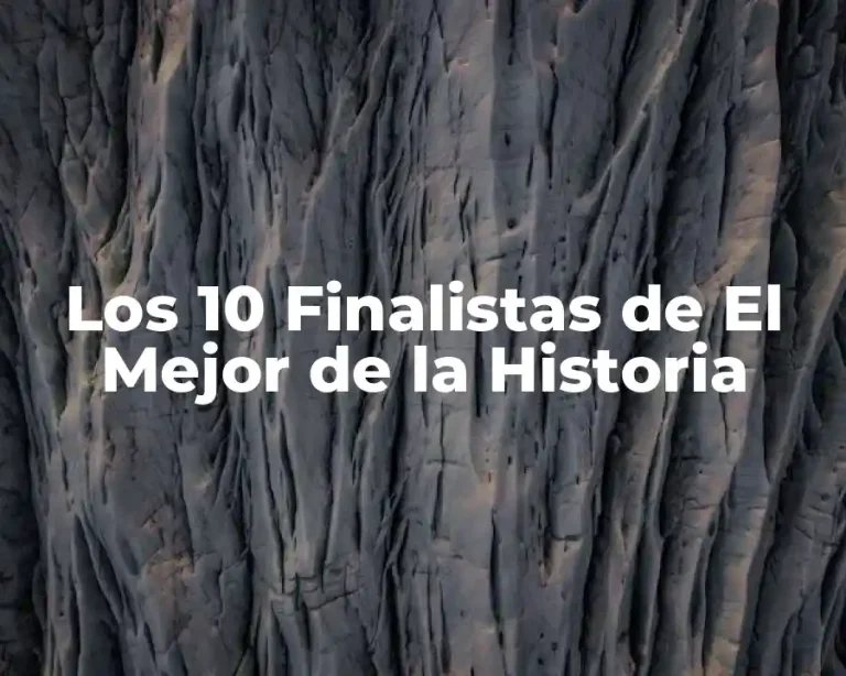 Los 10 Finalistas de El Mejor de la Historia