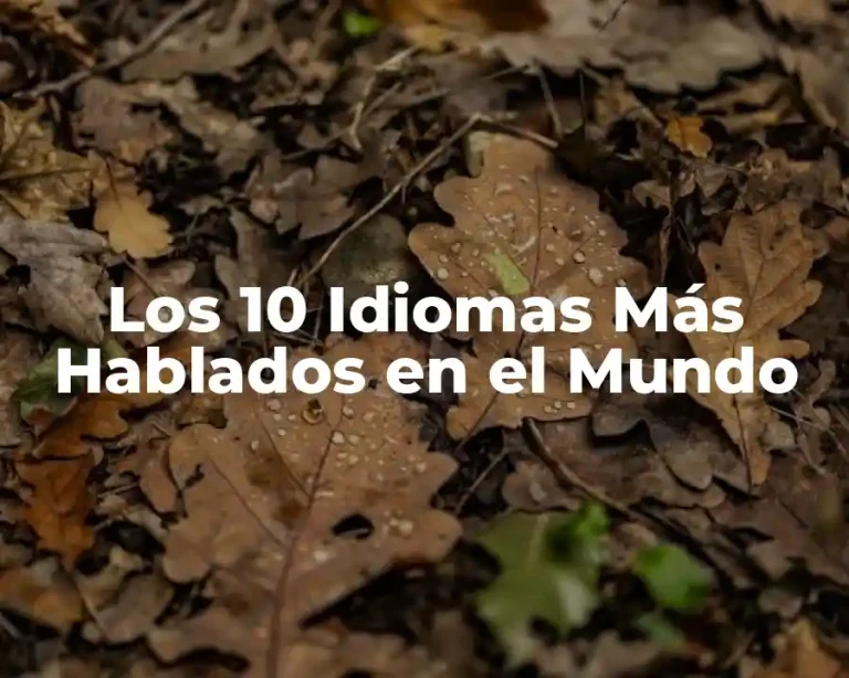 Los 10 Idiomas Más Hablados en el Mundo