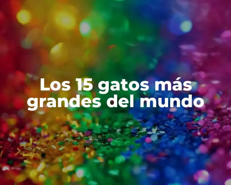 Los 15 gatos más grandes del mundo
