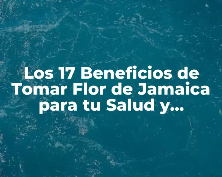 Los 17 Beneficios de Tomar Flor de Jamaica para tu Salud y Bienestar