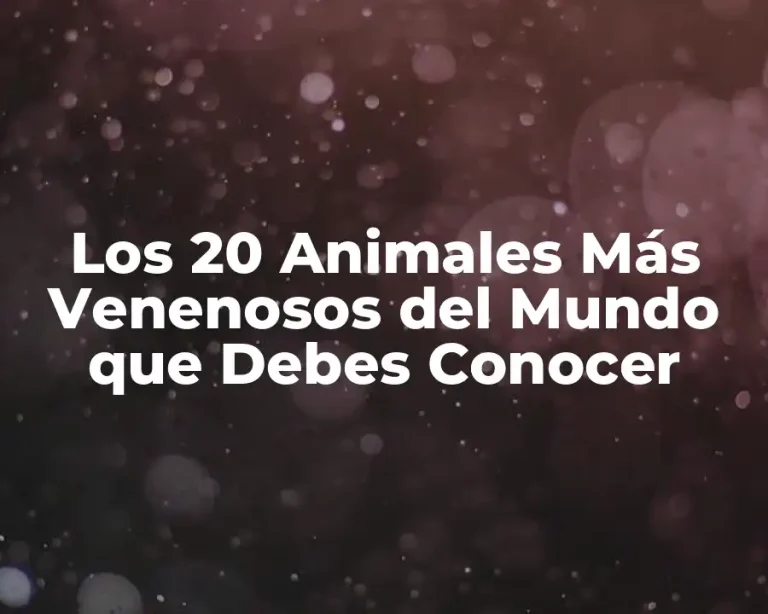 Los 20 Animales Más Venenosos del Mundo que Debes Conocer