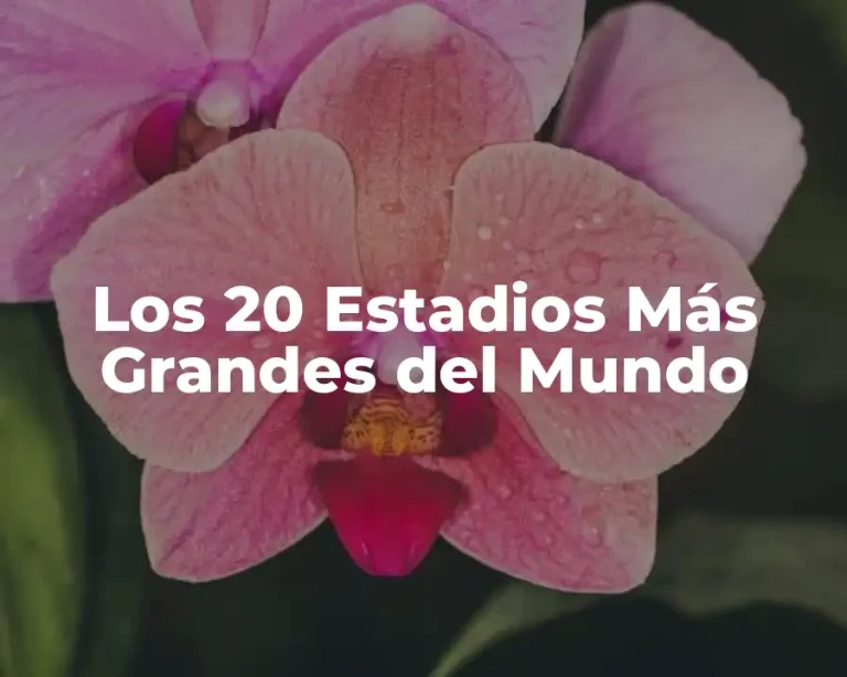 Los 20 Estadios Más Grandes del Mundo