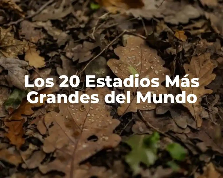 Los 20 Estadios Más Grandes del Mundo
