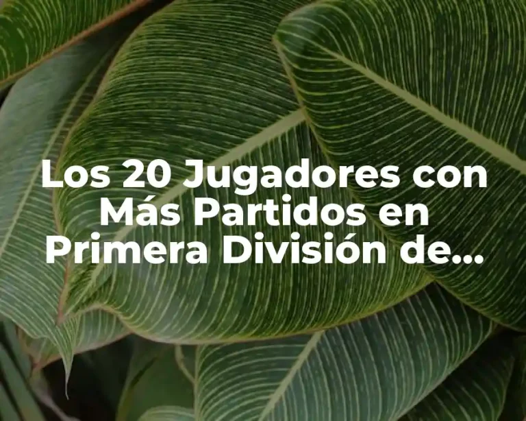 Los 20 Jugadores con Más Partidos en Primera División de España