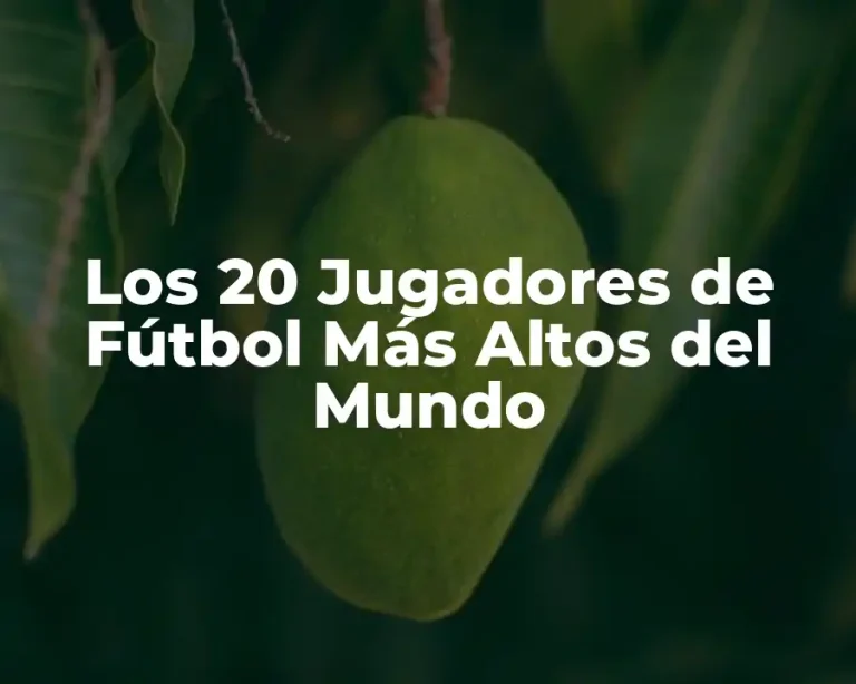 Los 20 Jugadores de Fútbol Más Altos del Mundo