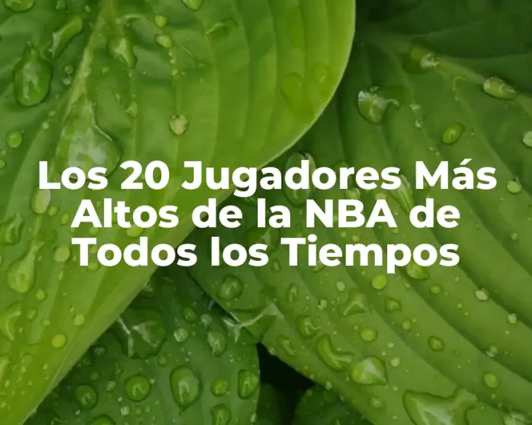 Los 20 Jugadores Más Altos de la NBA de Todos los Tiempos