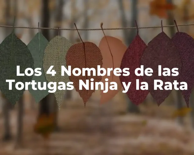 Los 4 Nombres de las Tortugas Ninja y la Rata