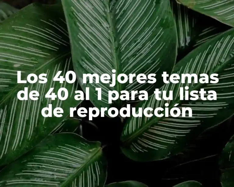 Los 40 mejores temas de 40 al 1 para tu lista de reproducción