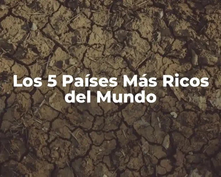 Los 5 Países Más Ricos del Mundo