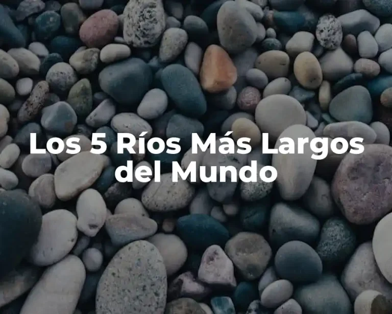 Los 5 Ríos Más Largos del Mundo