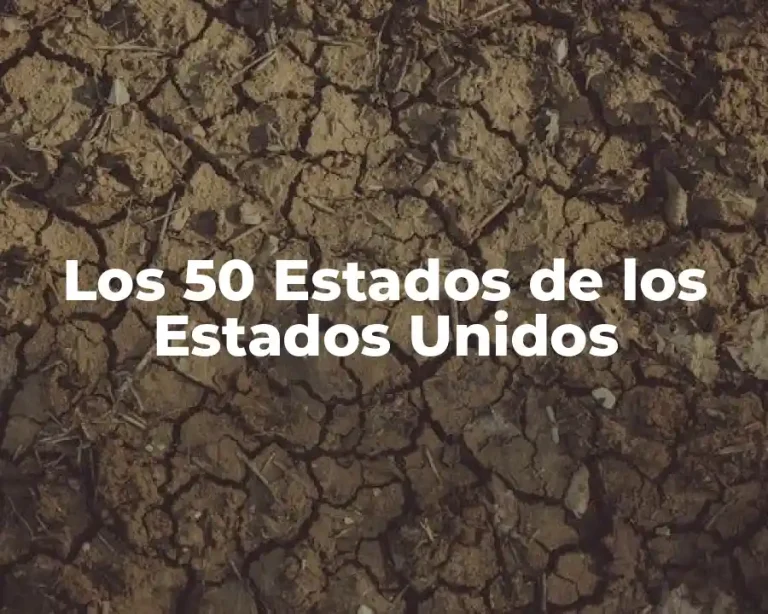 Los 50 Estados de los Estados Unidos