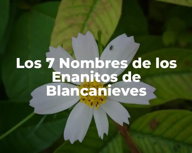 Los 7 Nombres de los Enanitos de Blancanieves
