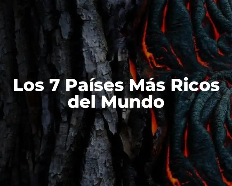 Los 7 Países Más Ricos del Mundo