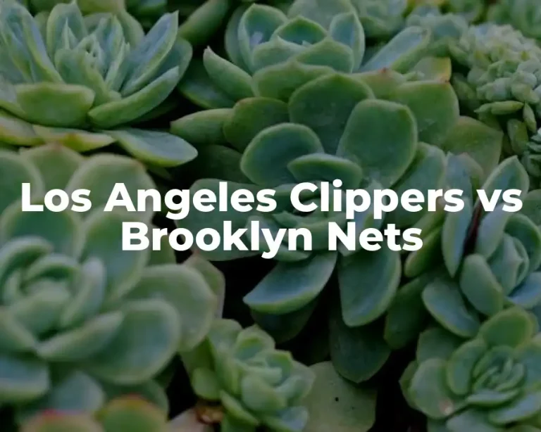 Los Angeles Clippers vs Brooklyn Nets
