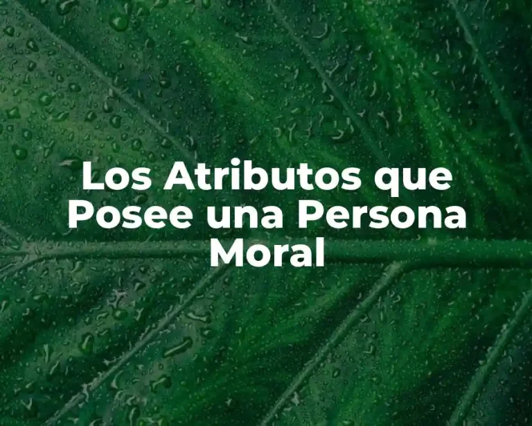 Los Atributos que Posee una Persona Moral