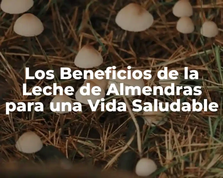 Los Beneficios de la Leche de Almendras para una Vida Saludable