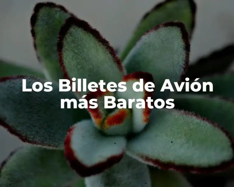Los Billetes de Avión más Baratos