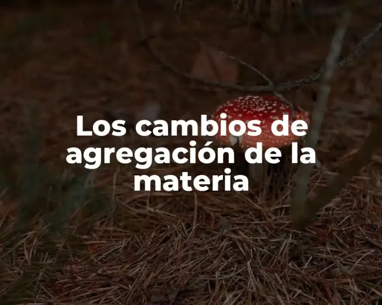 Los cambios de agregación de la materia