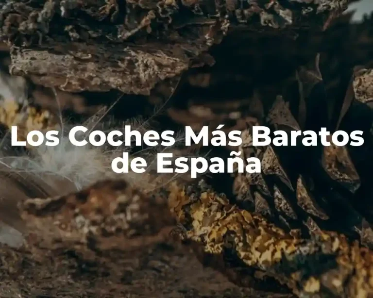 Los Coches Más Baratos de España