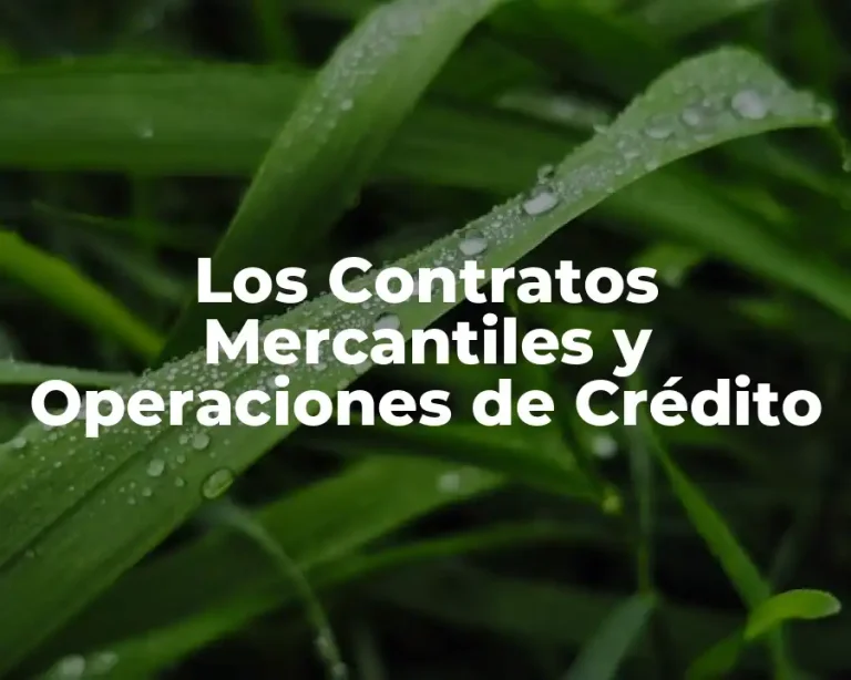 Los Contratos Mercantiles y Operaciones de Crédito