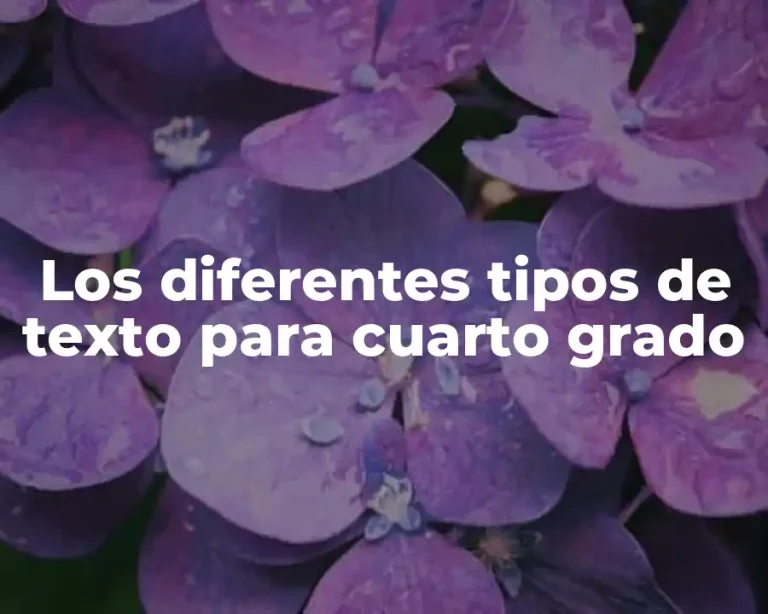 Los diferentes tipos de texto para cuarto grado