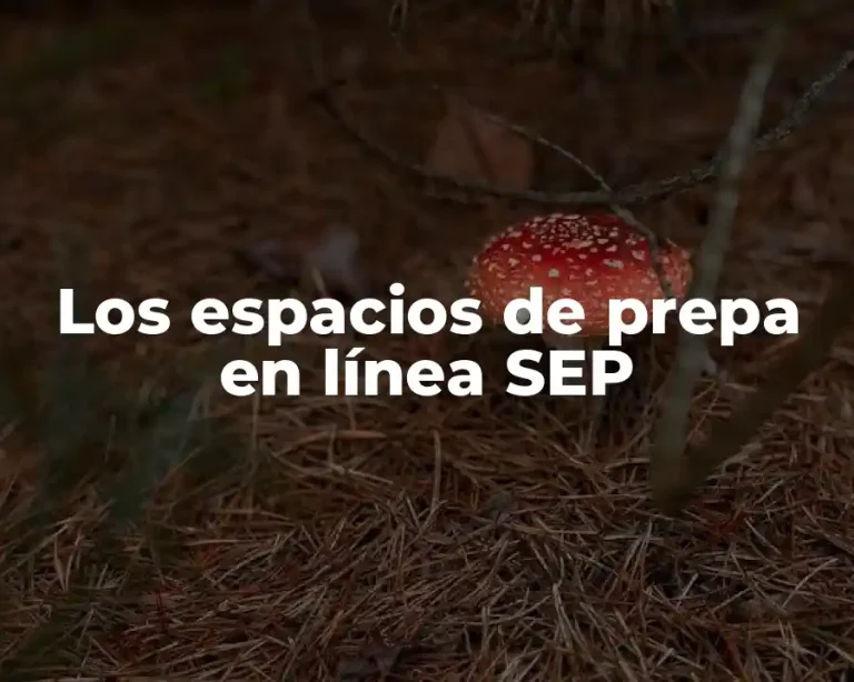 Los espacios de prepa en línea SEP