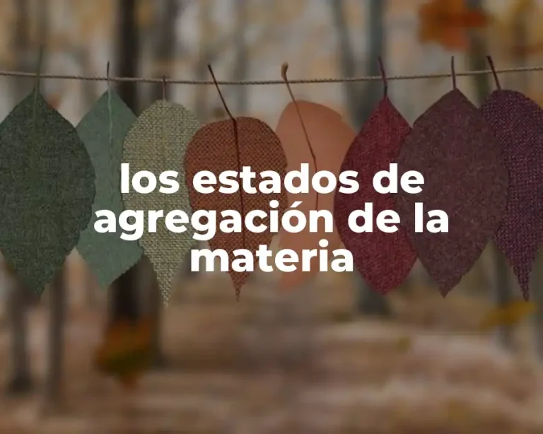 los estados de agregación de la materia