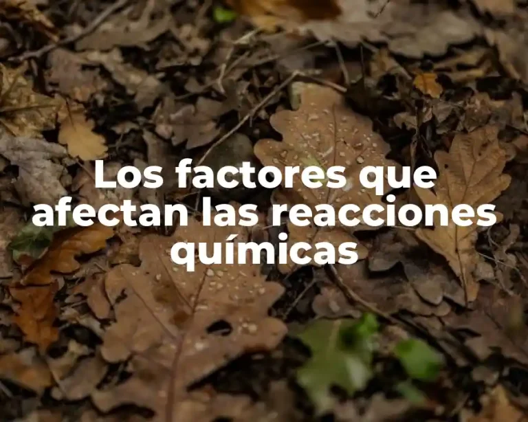 Los factores que afectan las reacciones químicas