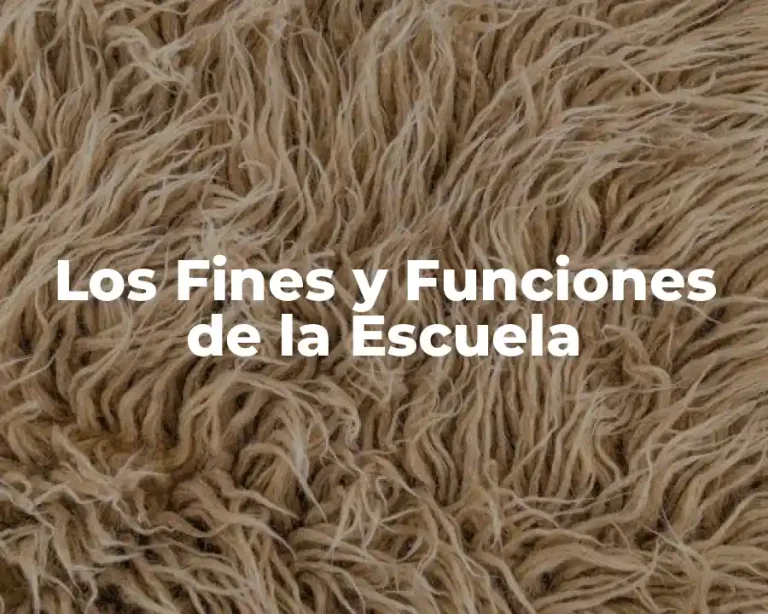 Los Fines y Funciones de la Escuela