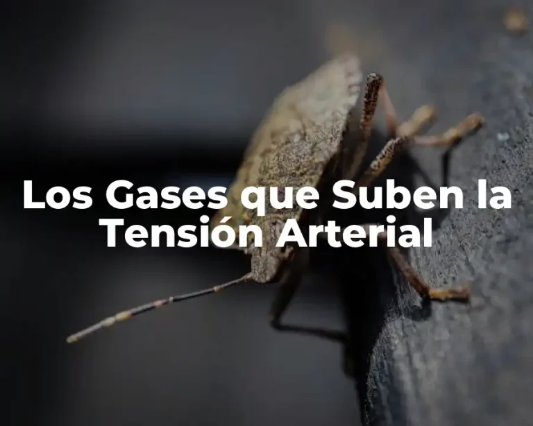 Los Gases que Suben la Tensión Arterial