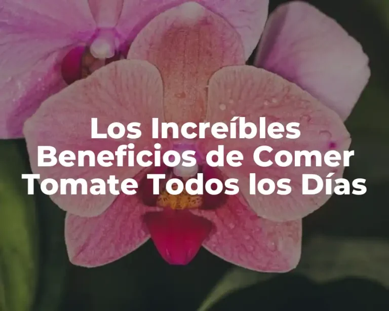 Los Increíbles Beneficios de Comer Tomate Todos los Días