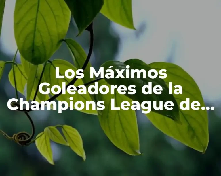 Los Máximos Goleadores de la Champions League de Todos los Tiempos