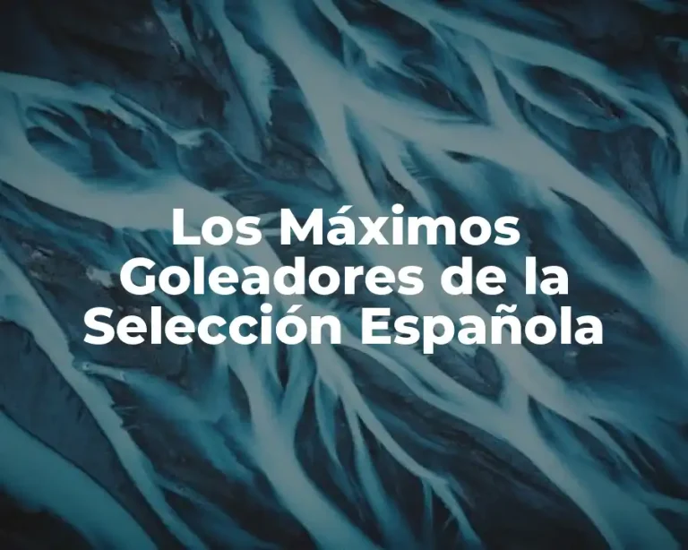 Los Máximos Goleadores de la Selección Española