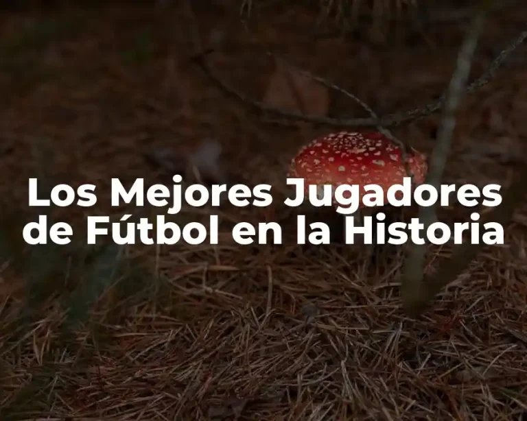 Los Mejores Jugadores de Fútbol en la Historia