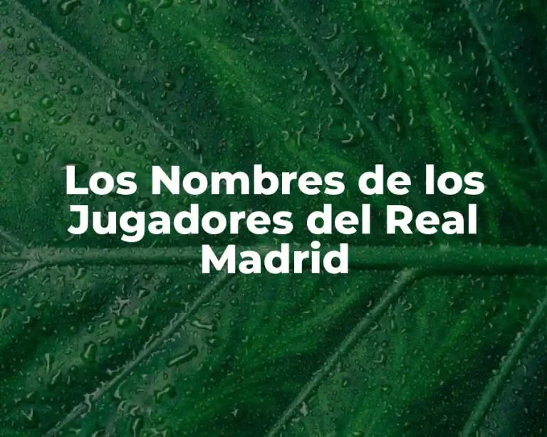 Los Nombres de los Jugadores del Real Madrid