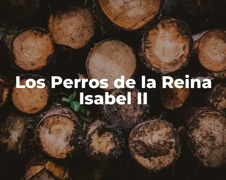 Los Perros de la Reina Isabel II