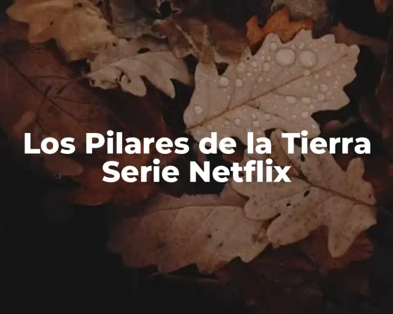 Los Pilares de la Tierra Serie Netflix