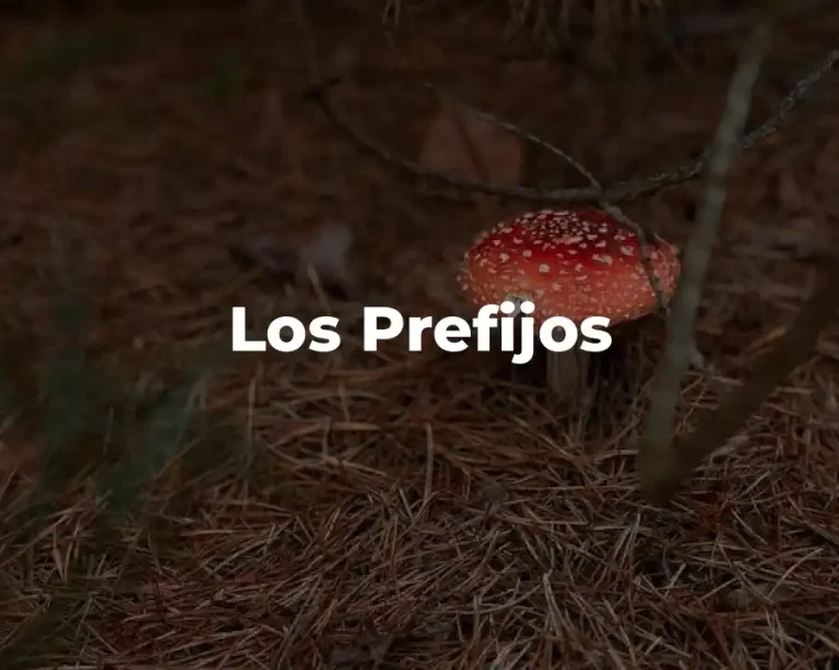 Los Prefijos
