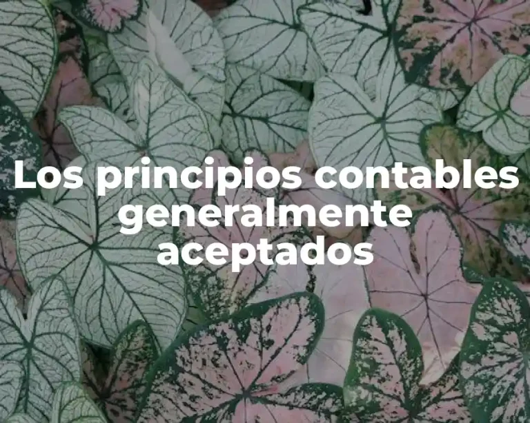 Los principios contables generalmente aceptados