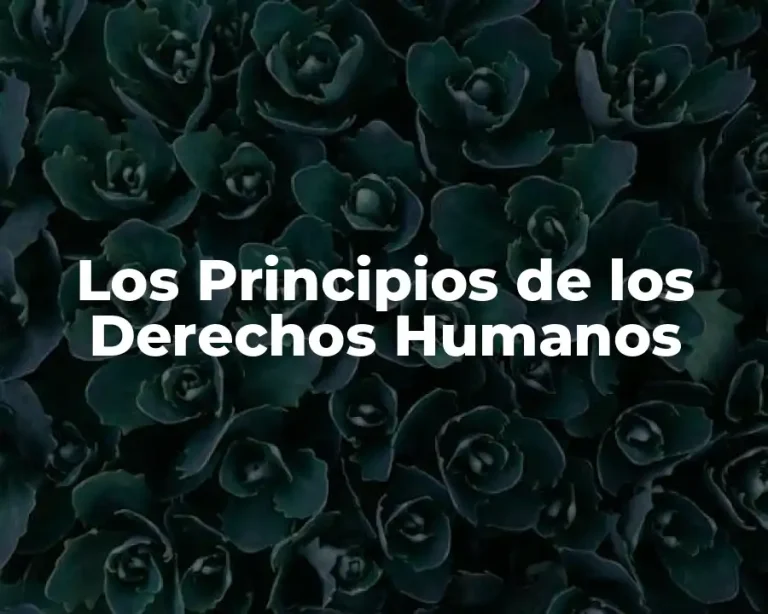 Los Principios de los Derechos Humanos