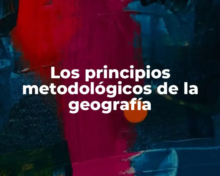 Los principios metodológicos de la geografía