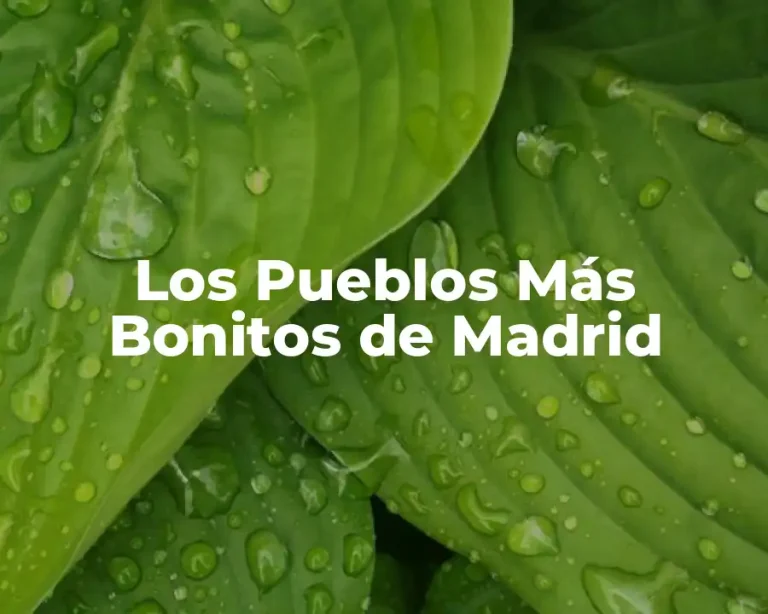 Los Pueblos Más Bonitos de Madrid