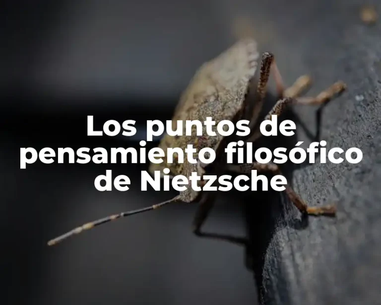 Los puntos de pensamiento filosófico de Nietzsche