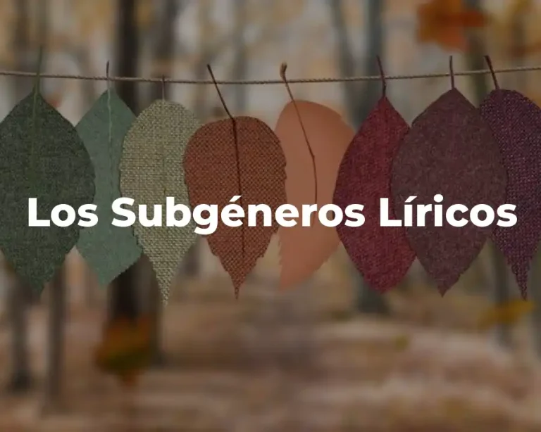 Los Subgéneros Líricos