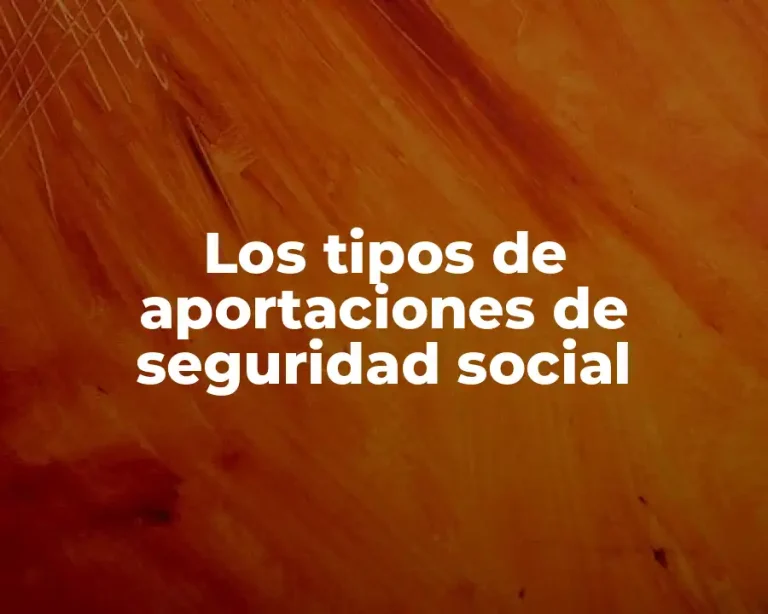 Los tipos de aportaciones de seguridad social