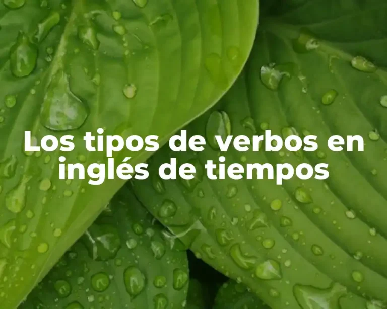 Los tipos de verbos en inglés de tiempos